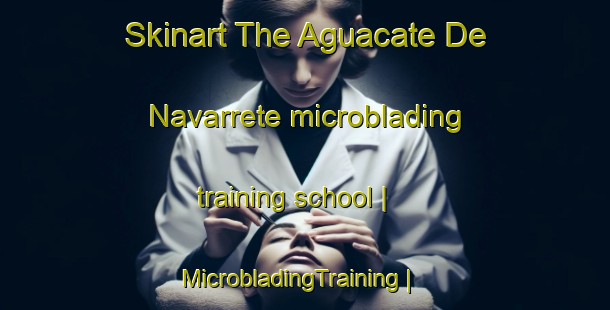Skinart The Aguacate De Navarrete microblading training school | MicrobladingTraining | MicrobladingClasses | SkinartTraining-Dominican Republic